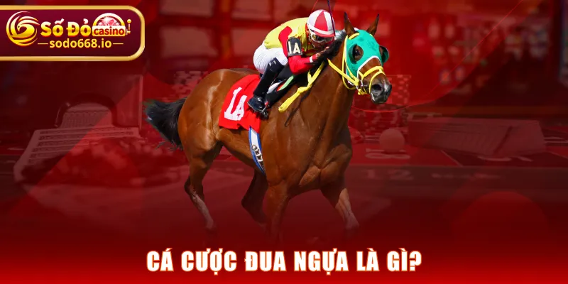 Cá cược đua ngựa là gì?