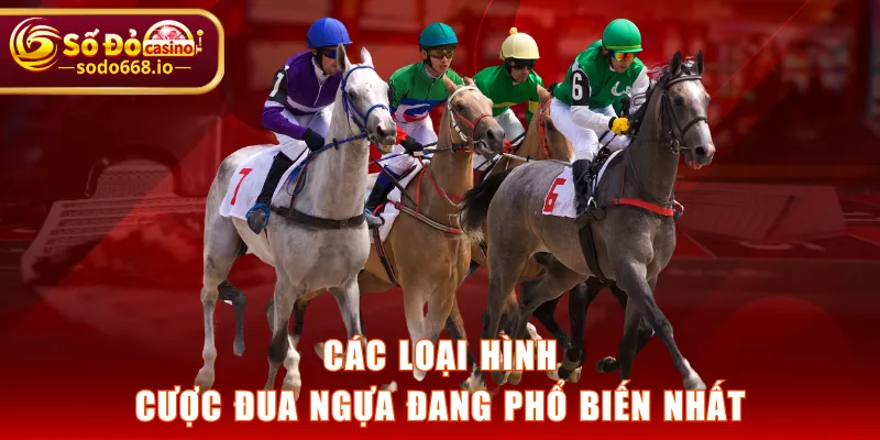 Cá Cược Đua Ngựa - Bộ Môn Thể Thao Cá Cược Hot Có Tại SODO66