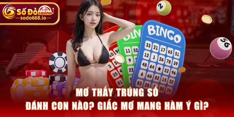 Mơ thấy trúng số nên quất con nào ăn lớn?