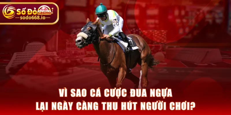 Vì sao cá cược đua ngựa lại ngày càng thu hút người chơi?